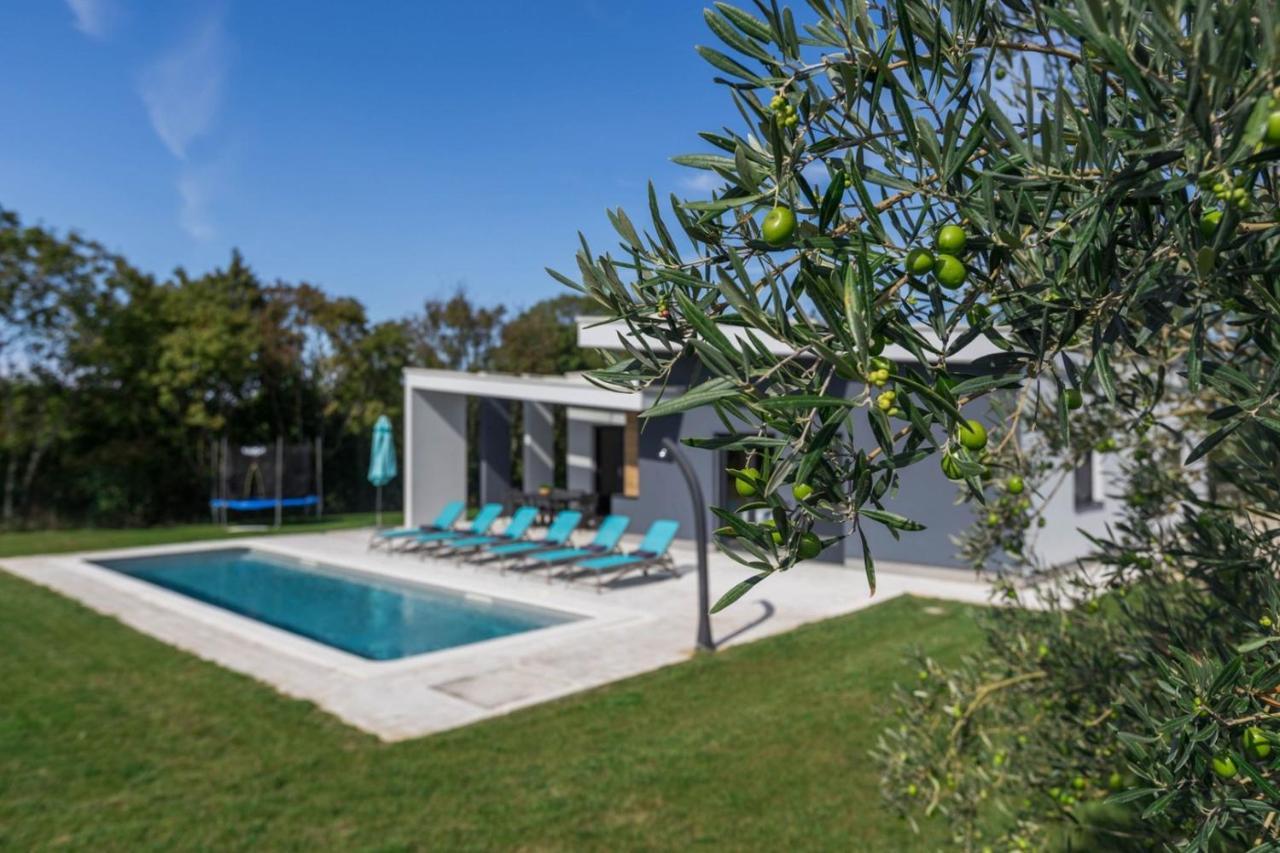 Villa Mariva Žminj Extérieur photo
